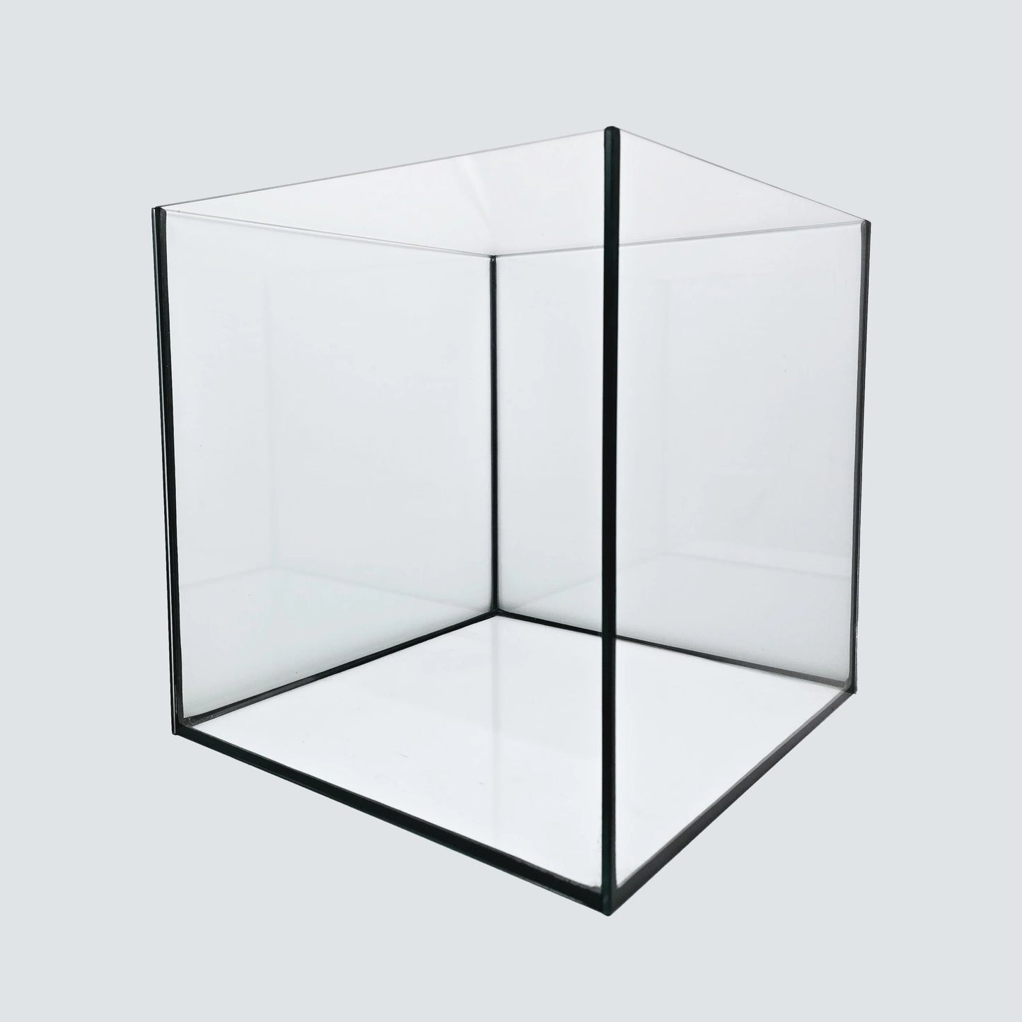 Aquarium 15x15x15cm Cube 3,3 Liter schwarz Terra-Natur
