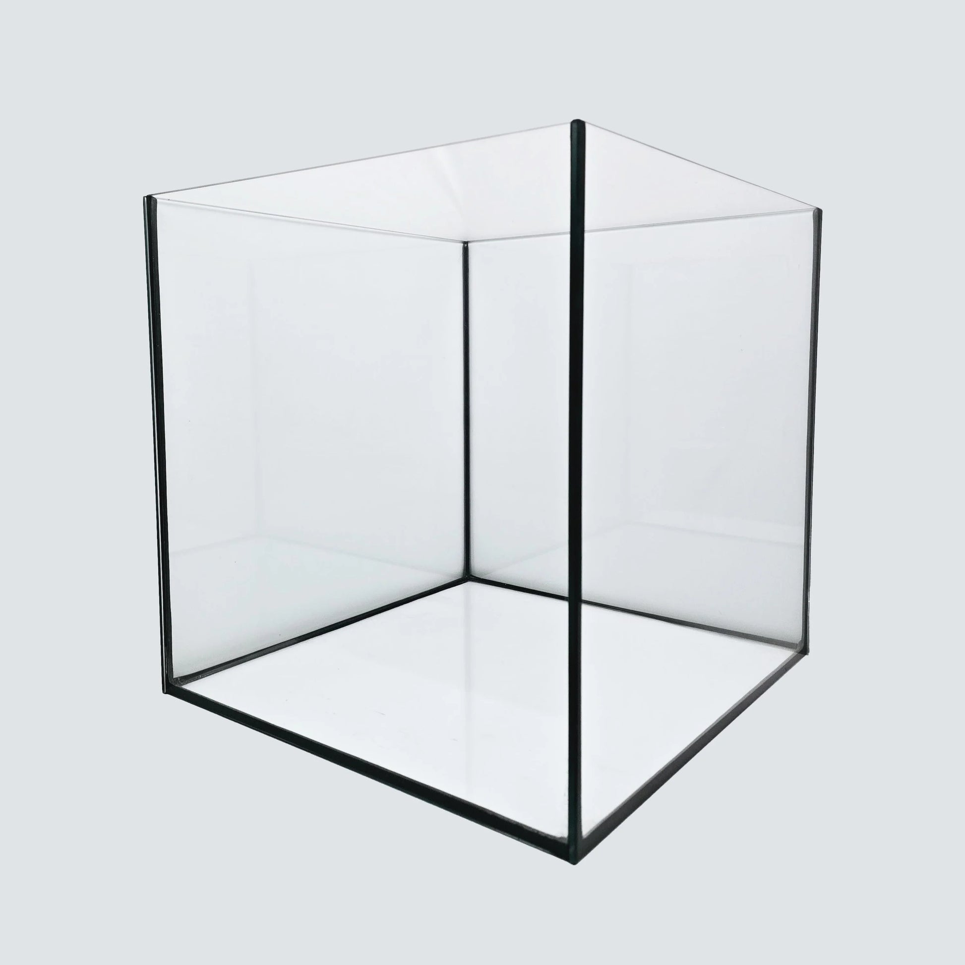 Aquarium 15x15x15cm Cube 3,3 Liter schwarz Terra-Natur