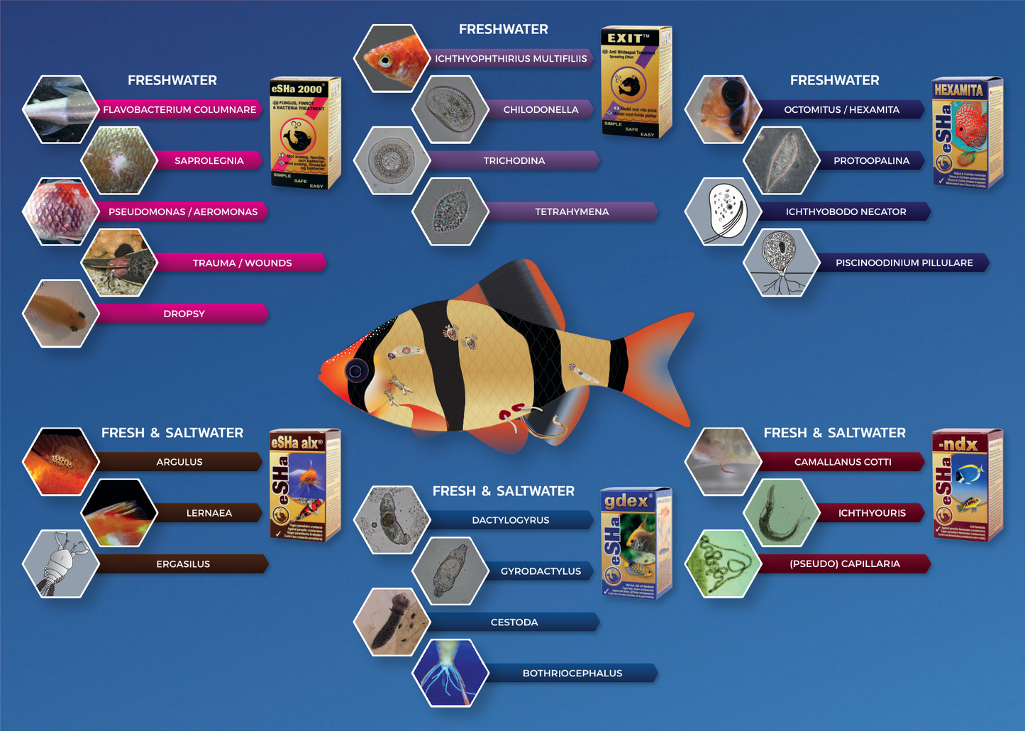 eSHa 2000 -Breitband Heilmittel für Fischkrankheiten