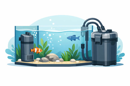 Innenfilter oder Außenfilter im Aquarium?