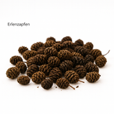 Erlenzapfen 100g