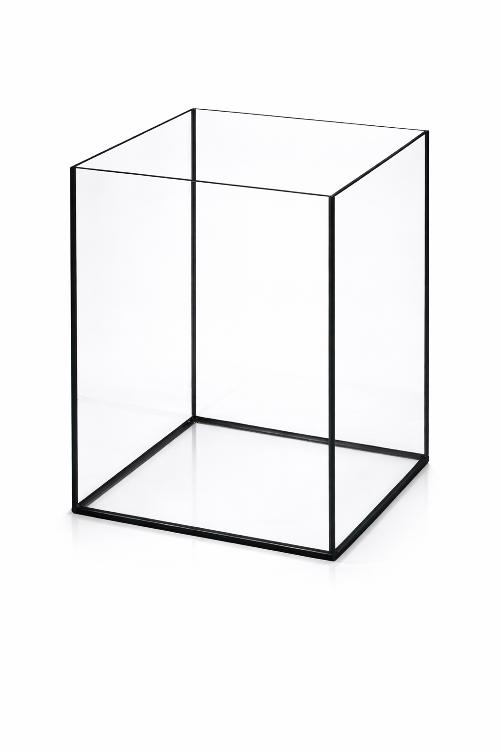 Aquarium 40x40x50cm Cube 80 Liter schwarz