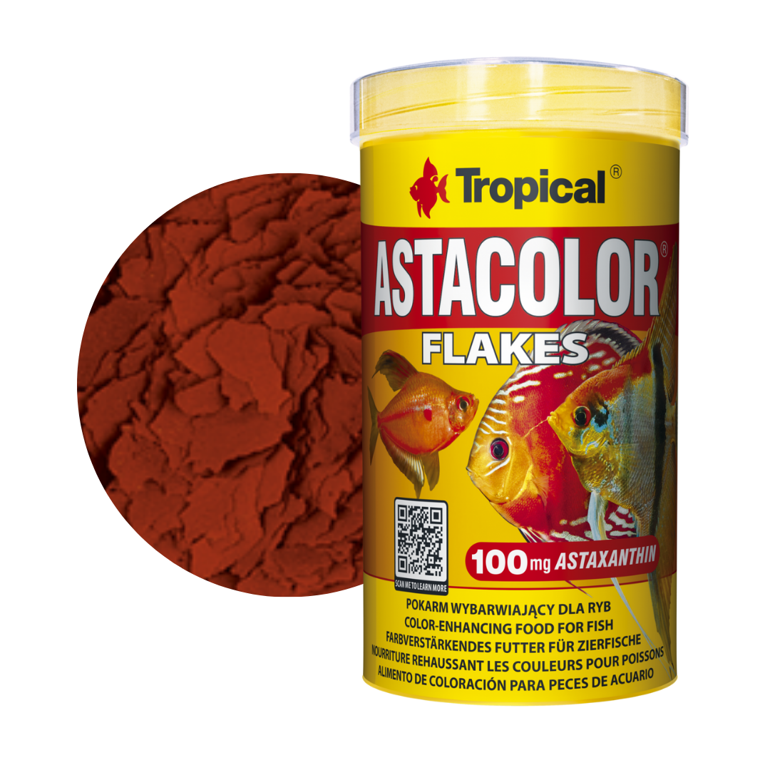 Tropical Astacolor