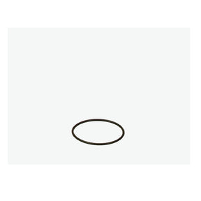 EHEIM Dichtungsring 7255058
