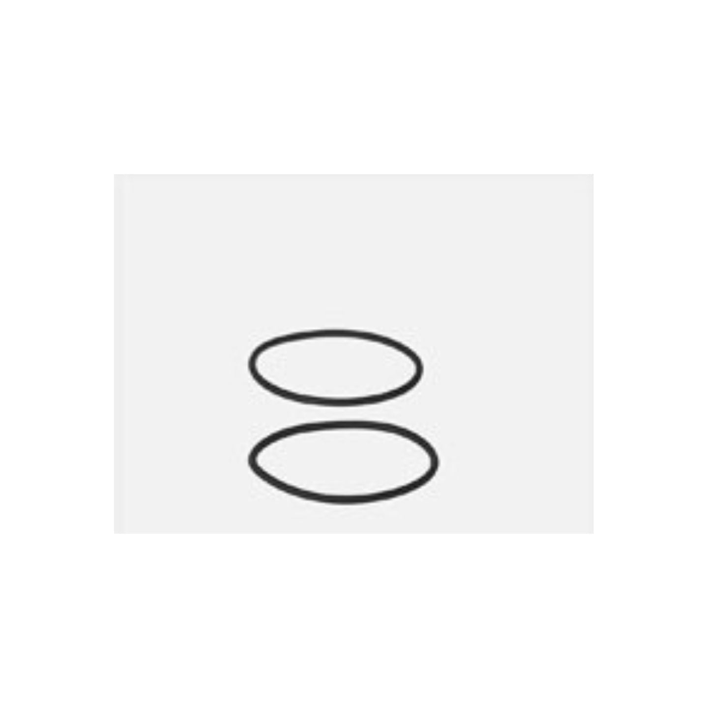 EHEIM Dichtungsring 7269350