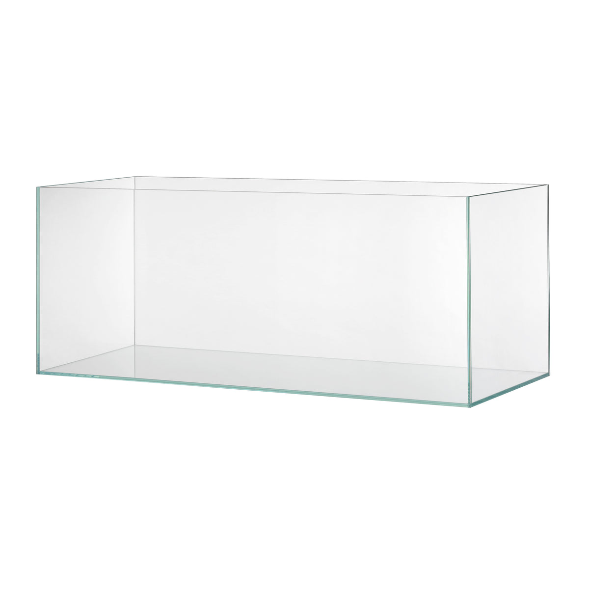 EHEIM clearTank 300 Weißglas-Aquarium – quadratische Aufnahme auf Weiß