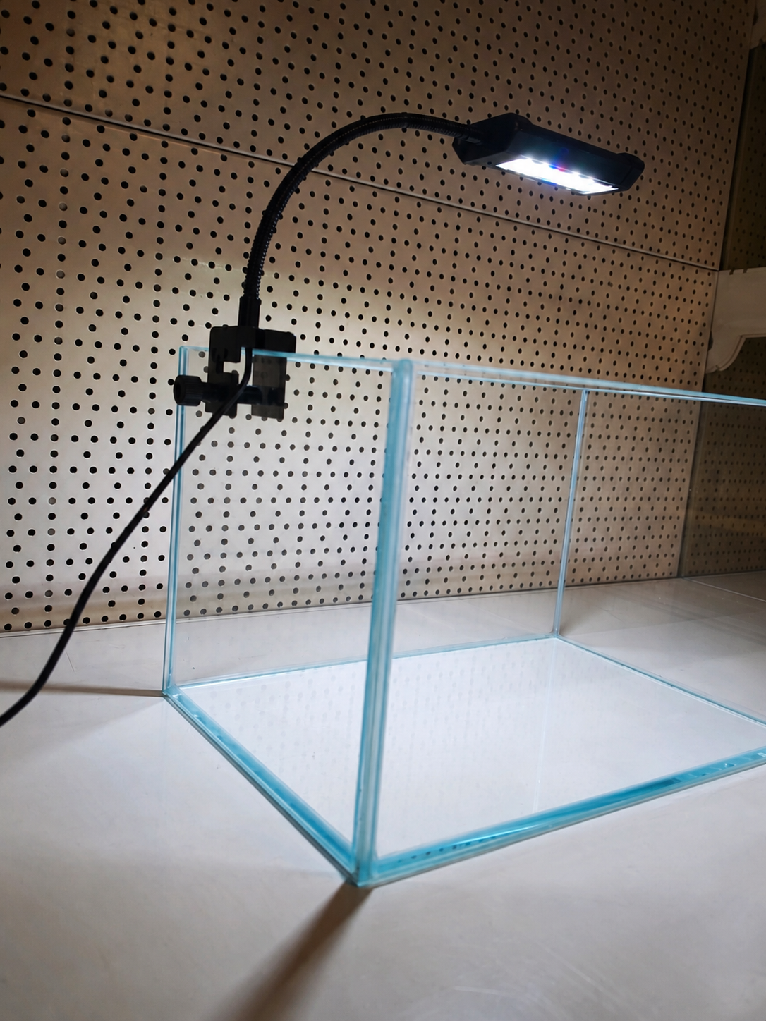 Aquarium 37×25×23 cm Optiwhite mit LED – Ansicht 3