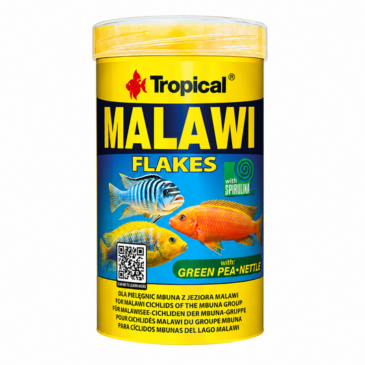 Tropical Malawi Flokken