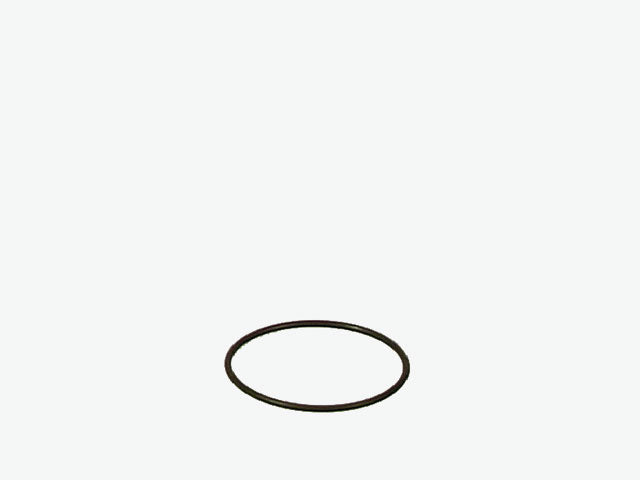 EHEIM Dichtungsring 7255058 – Original EHEIM
