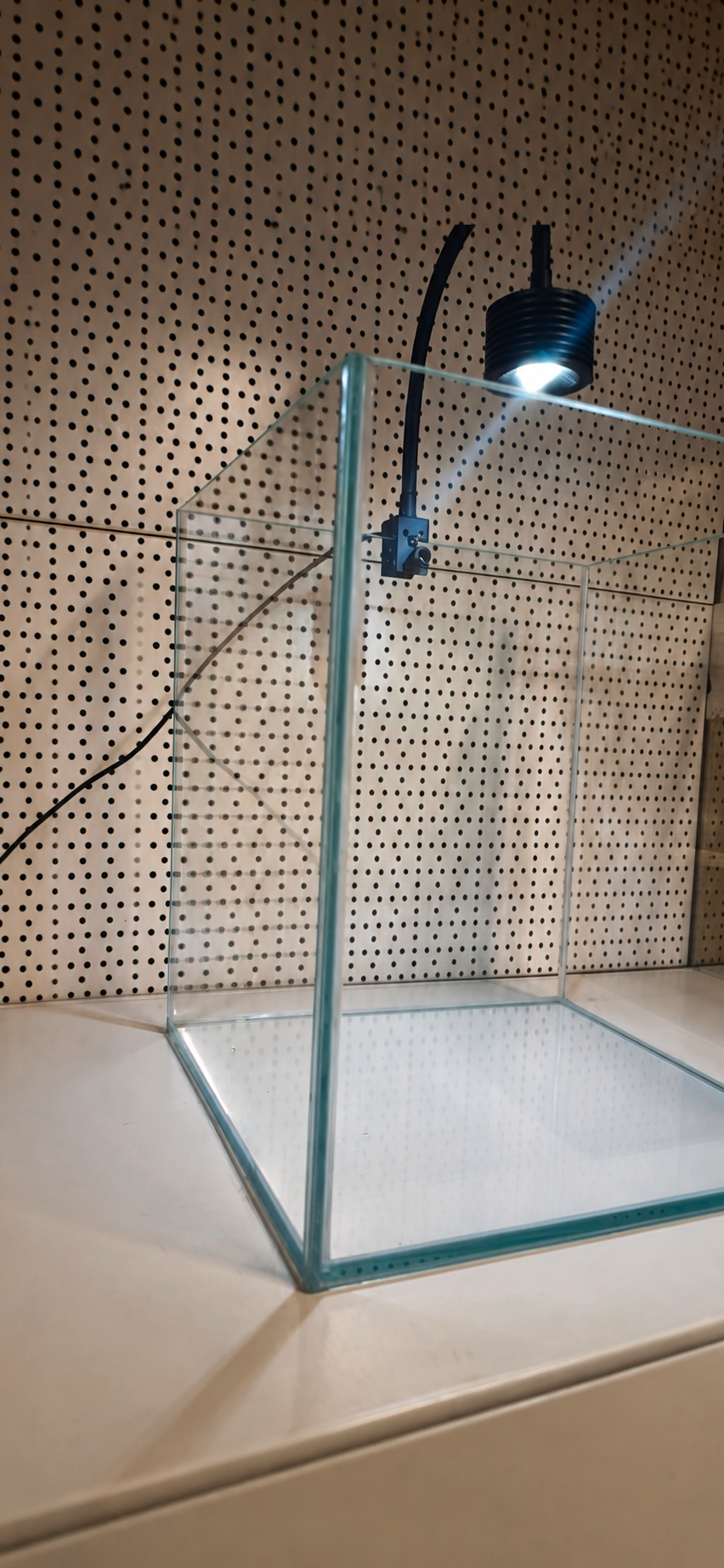 Kallax-Aquarium 41×38×40 cm Optiwhite mit LED-Spot – Ansicht 3