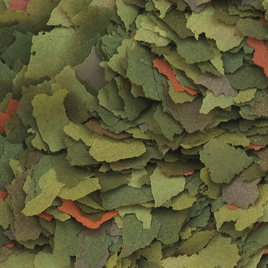 Tropical Malawi Flokken