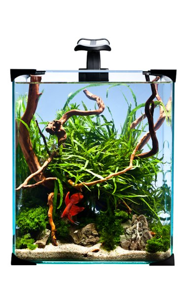 Diversa Nano Aquarium LED Set 10 Liter