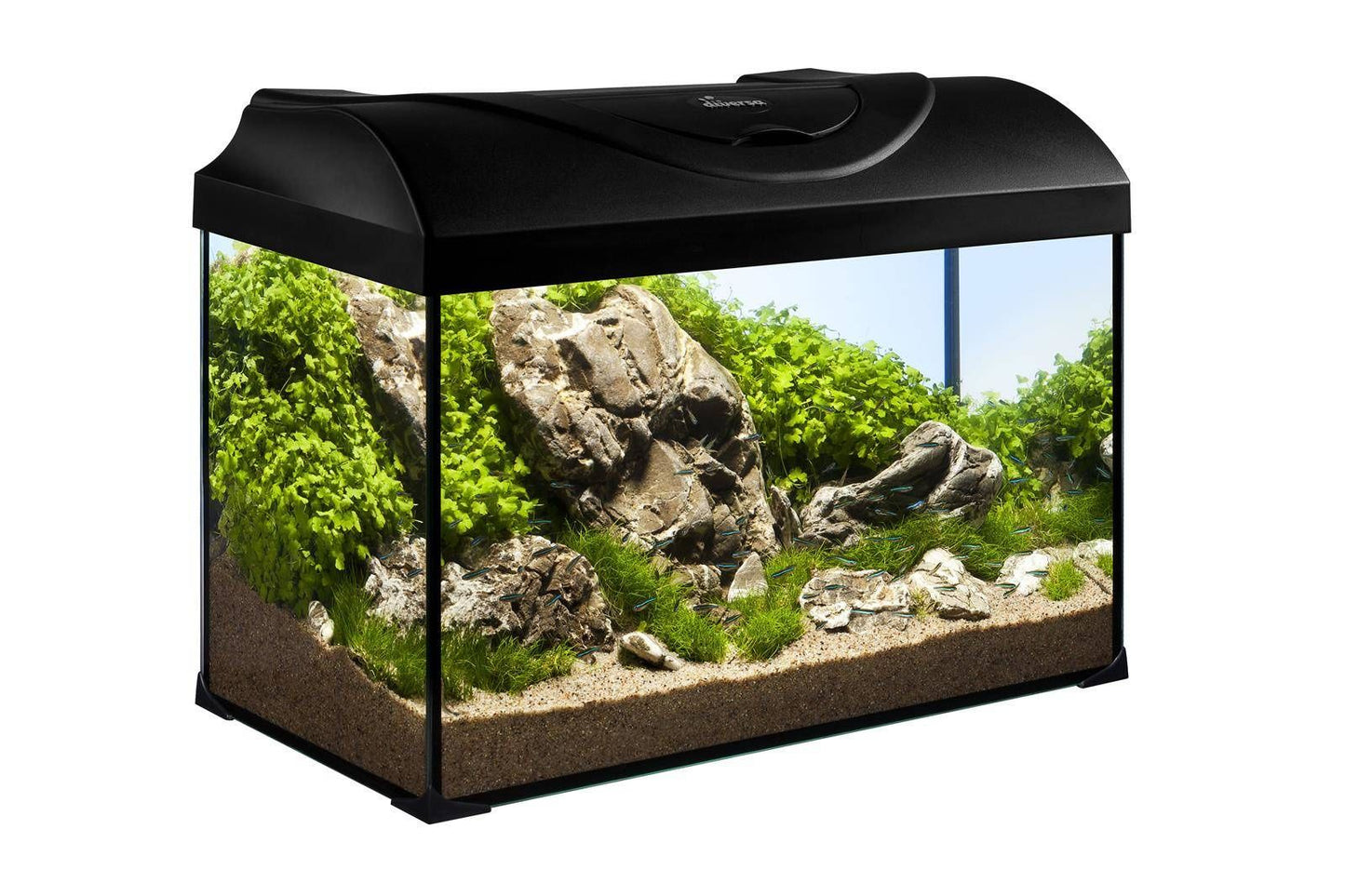 Diversa Aquarium Set Startup 40 -25 Liter, 40x25x25cm