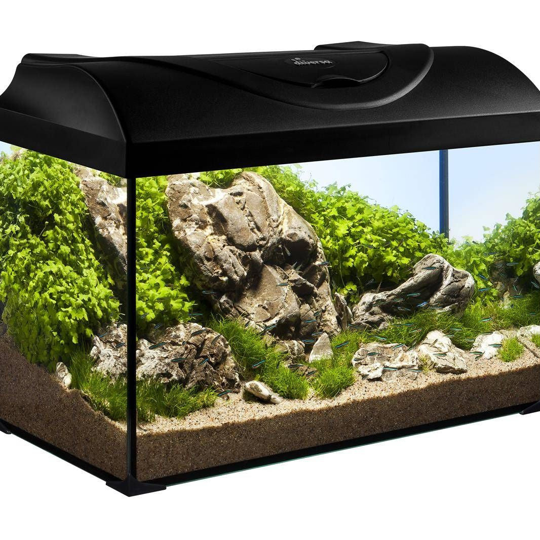 Diversa Aquarium Set Startup 40 - 25 litres, 40x25x25cm