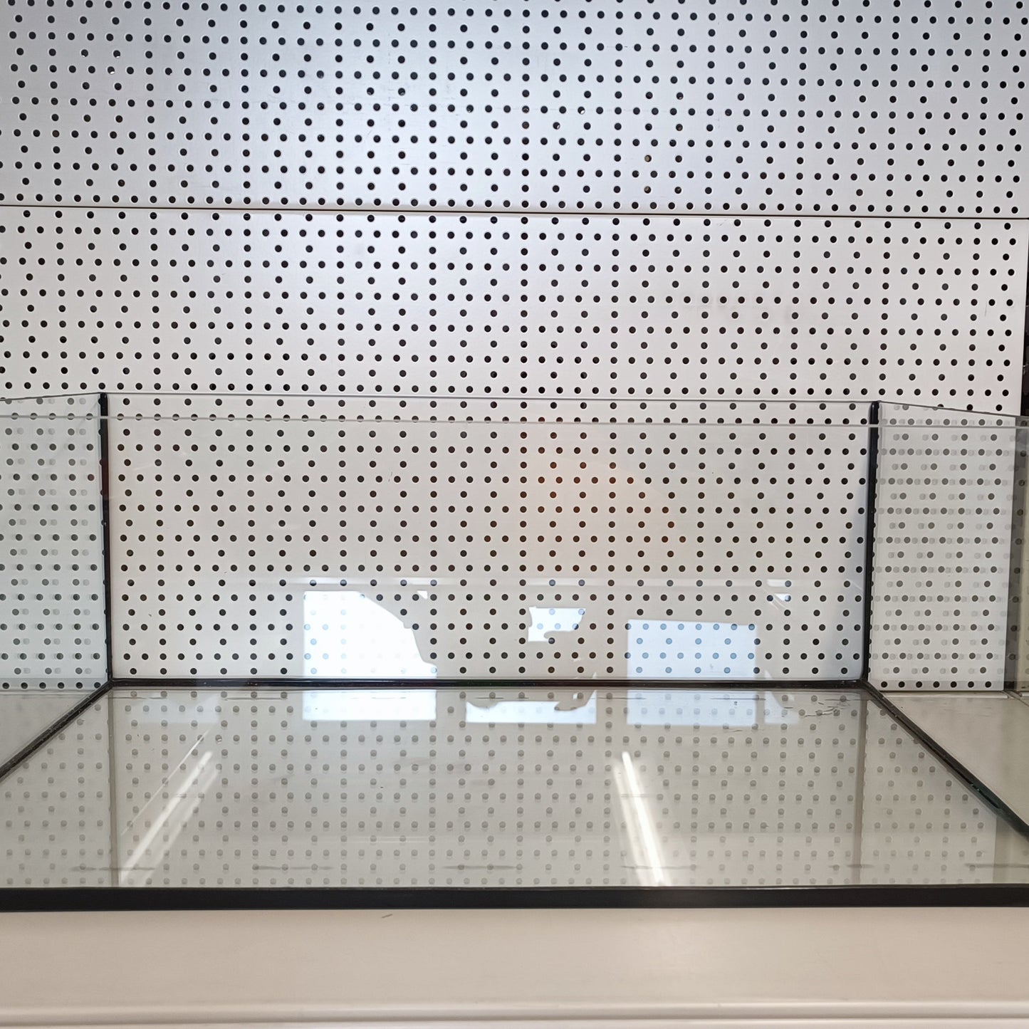 Aquarium 120x40x35 verre flotté 8mm, 168 litres