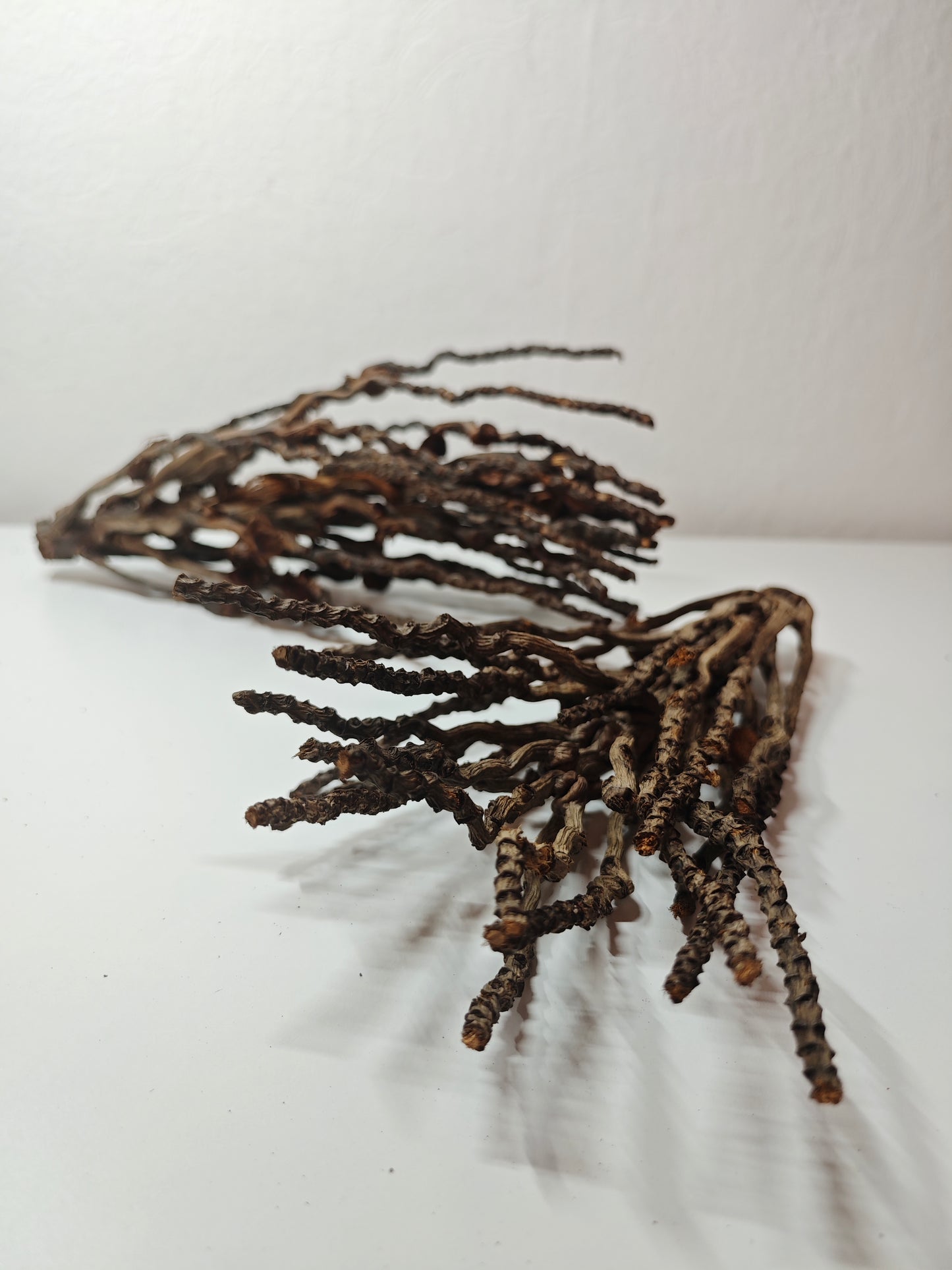 Kokosrispen Naturdeko 30-50cm