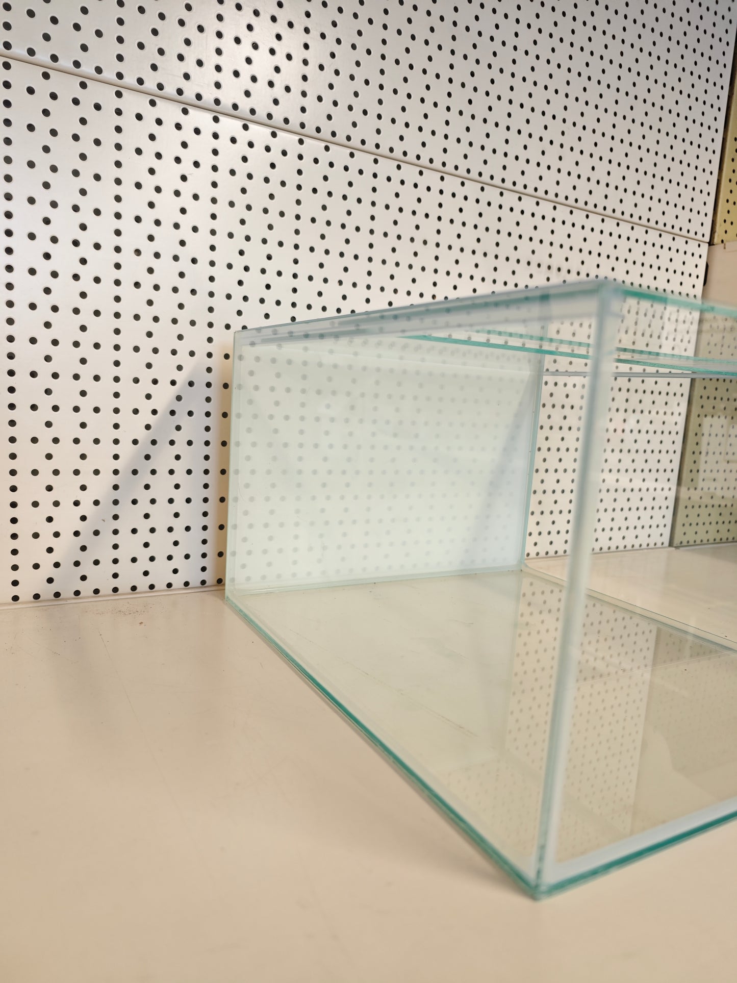 Aquarium 33x38x22 für Kallax Regal, weiße Rückwand