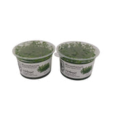 Tropica Micranthemum callitrichoides ´Cuba´ In-Vitro Doppelpack