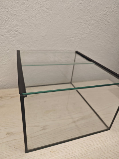 Sonderposten: Aquarium 33x38x22cm Kallax 27,5 Liter Terboven Aquaristik