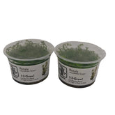 Tropica Rotala rotundifolia green In-Vitro Doppelpack