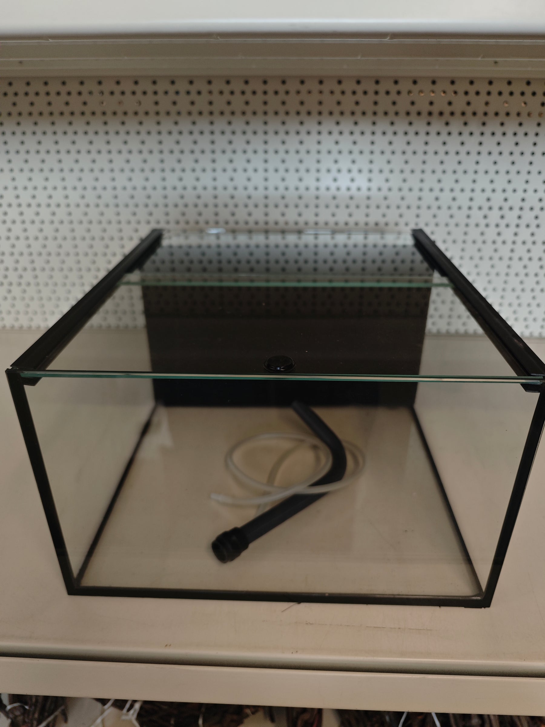 Aquarium 33x38x20 für Kallax Regal mit HMF Filter
