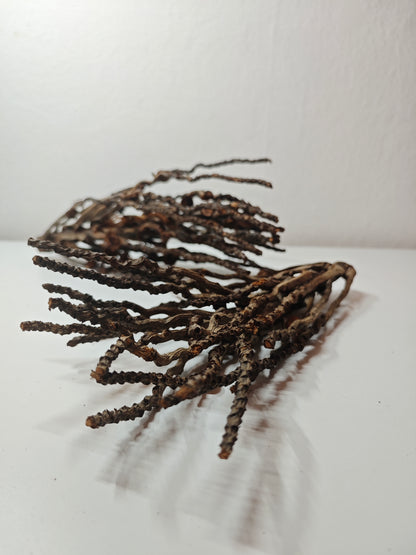 Kokosrispen Naturdeko 30-50cm