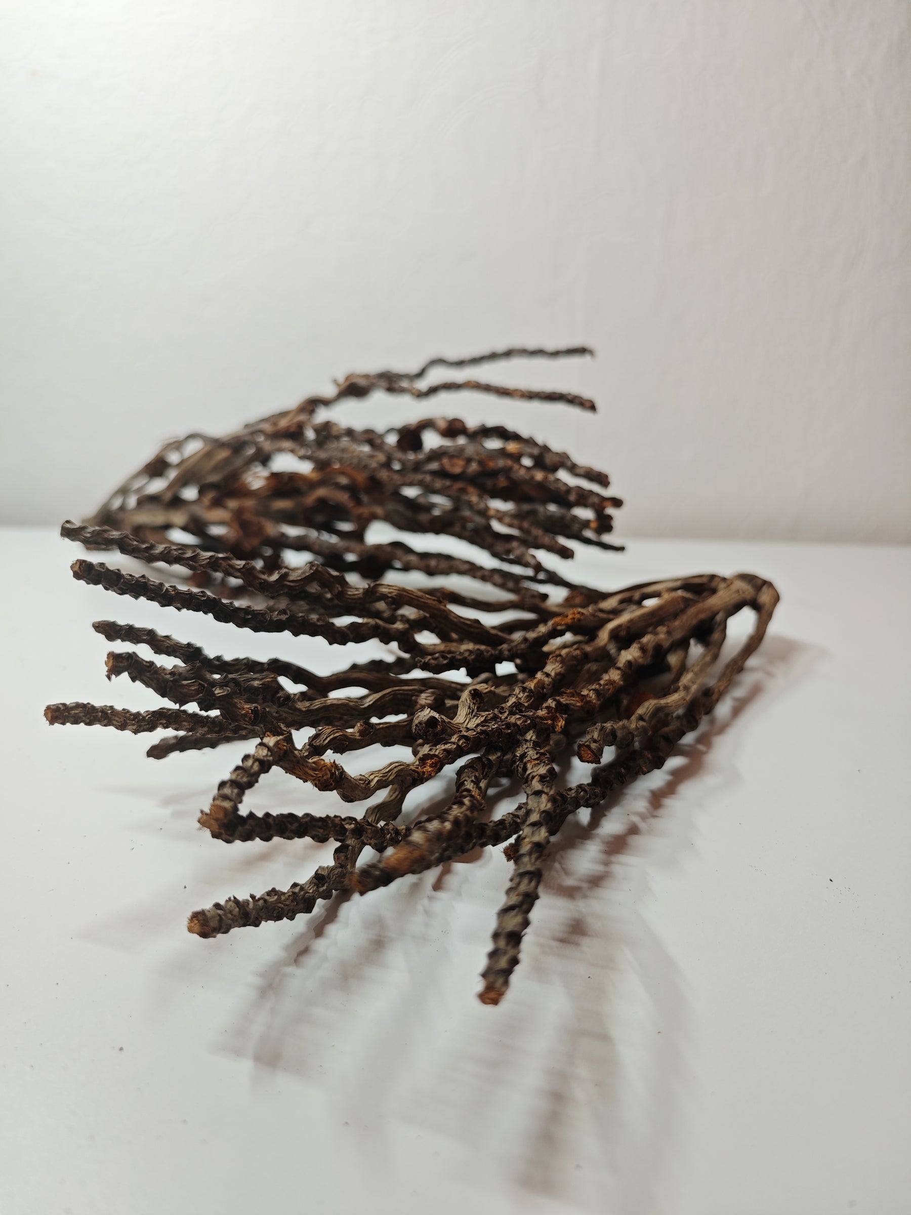 Kokosrispen Naturdeko 30-50cm