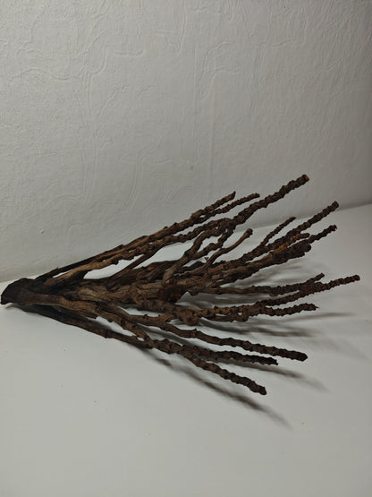 Kokosrispen Naturdeko 30-50cm