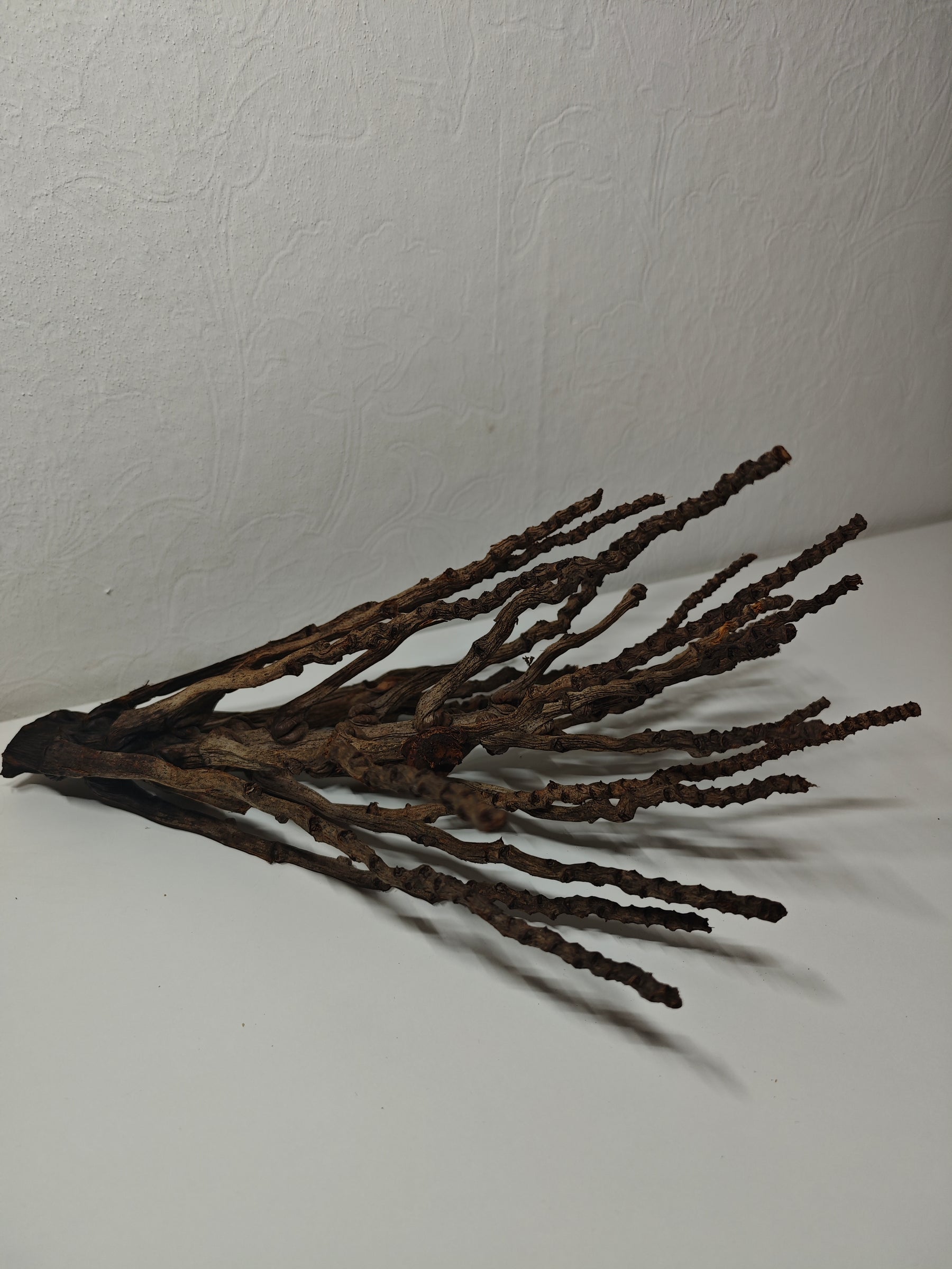 Kokosrispen Naturdeko 30-50cm