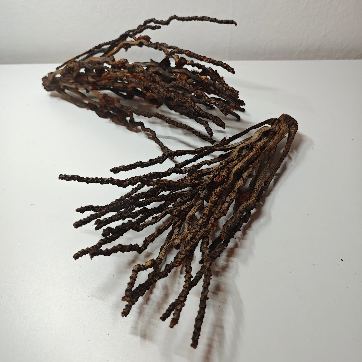 Kokosrispen Naturdeko 30-50cm