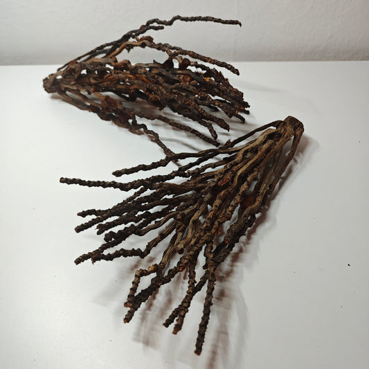 Kokosrispen Naturdeko 30-50cm