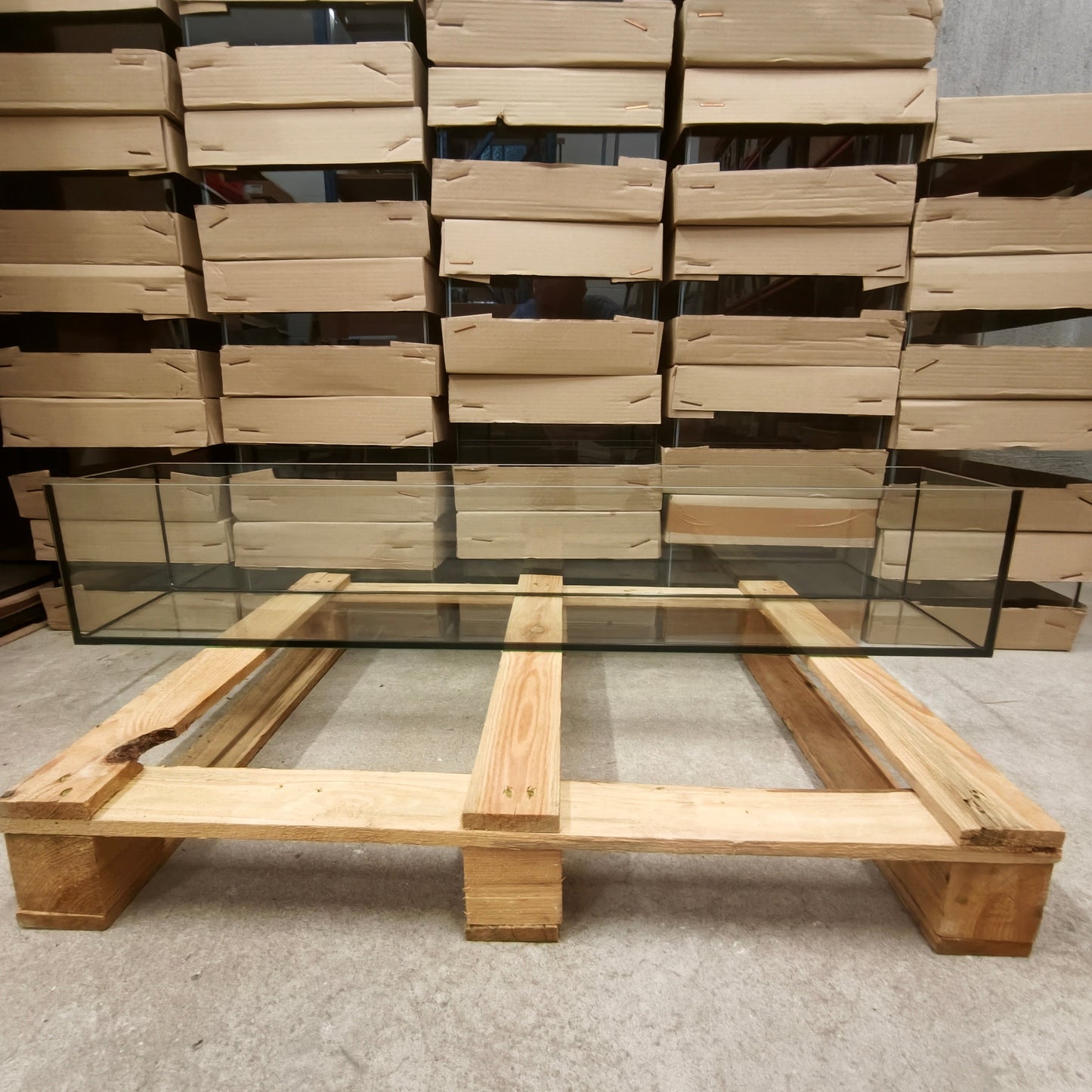 Aquarium 33x38x22 pour étagère Kallax, 3 chambres