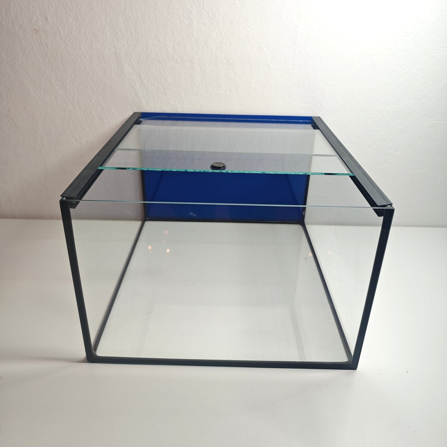 Aquarium 33x38x22cm für Kallax Regal 27,5 Liter schwarz, blaue Rückwand