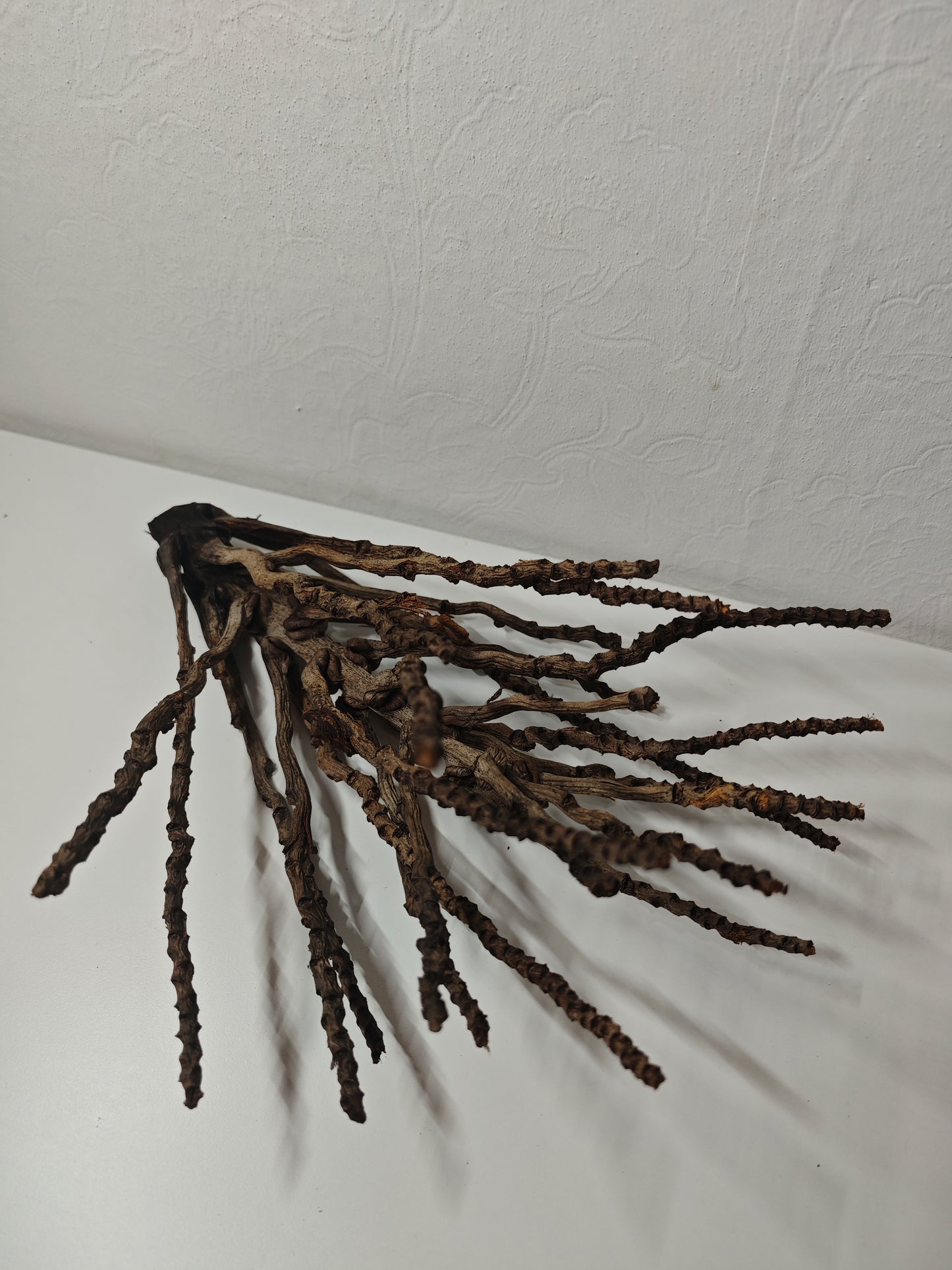 Kokosrispen Naturdeko 30-50cm