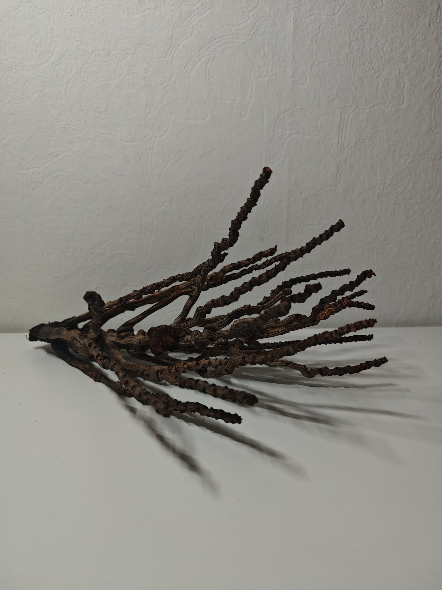 Kokosrispen Naturdeko 30-50cm