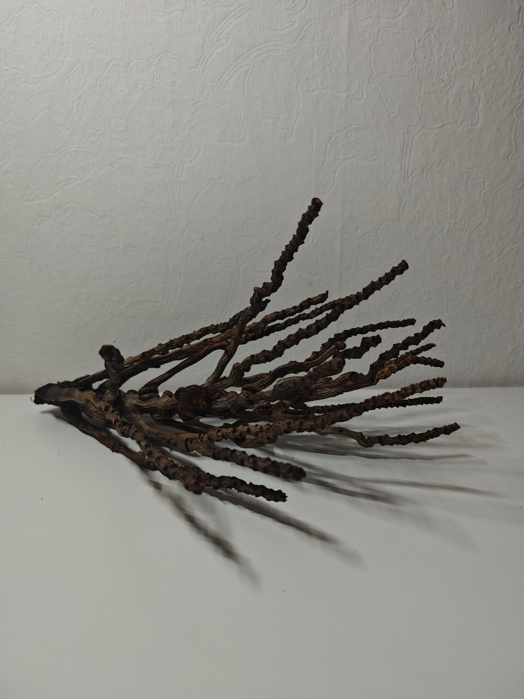 Kokosrispen Naturdeko 30-50cm