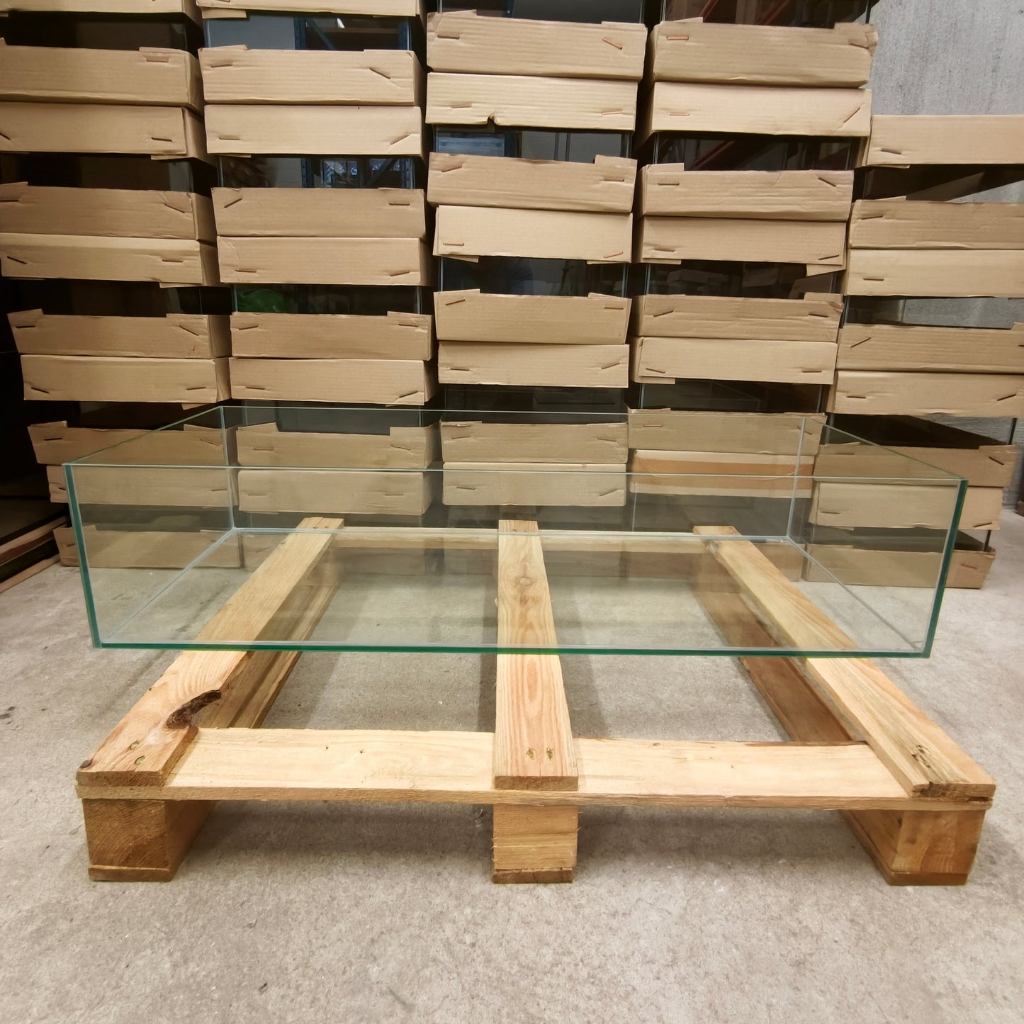 Aquarium 33x38x22 pour étagère Kallax, 3 chambres
