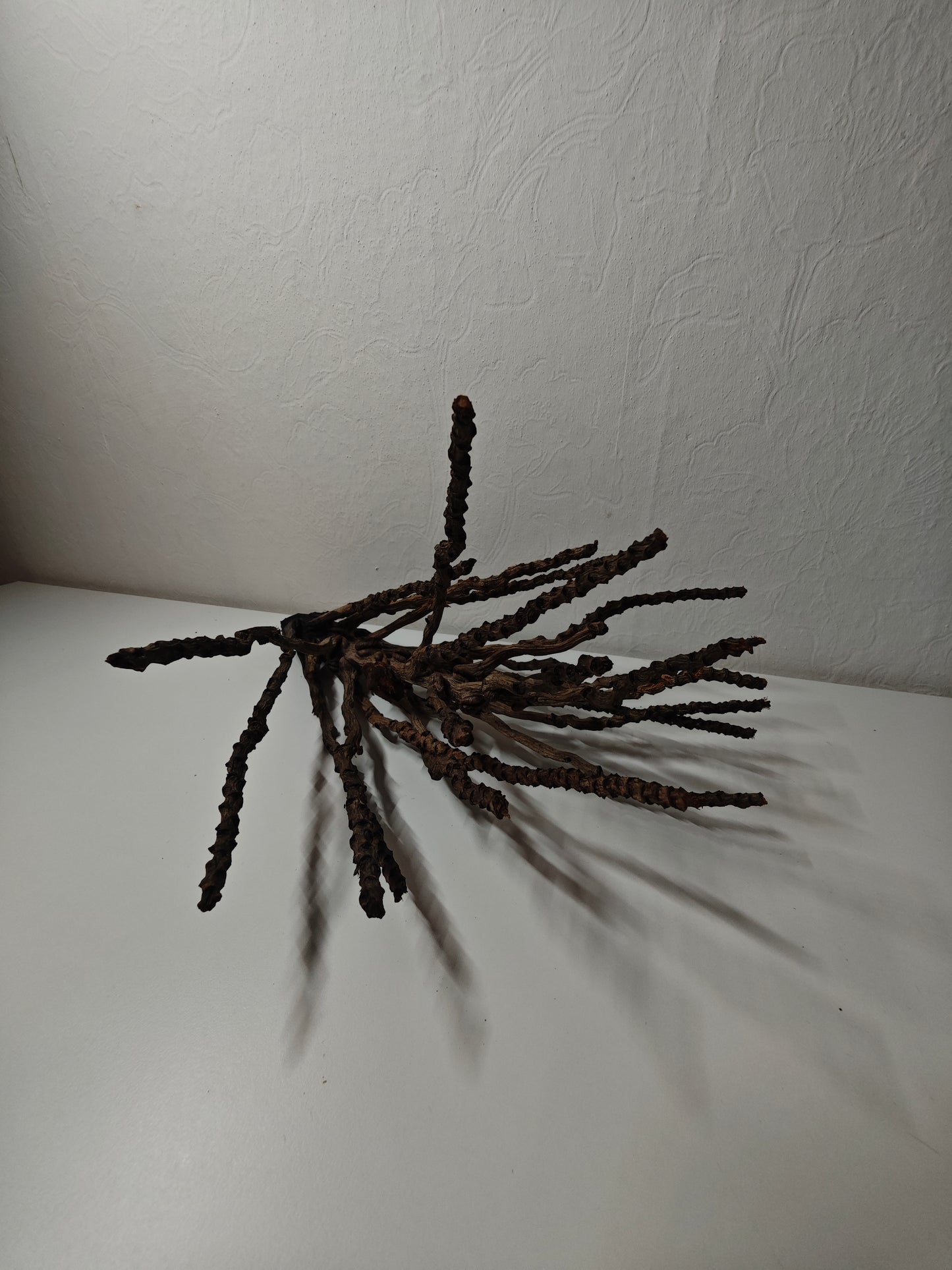 Kokosrispen Naturdeko 30-50cm