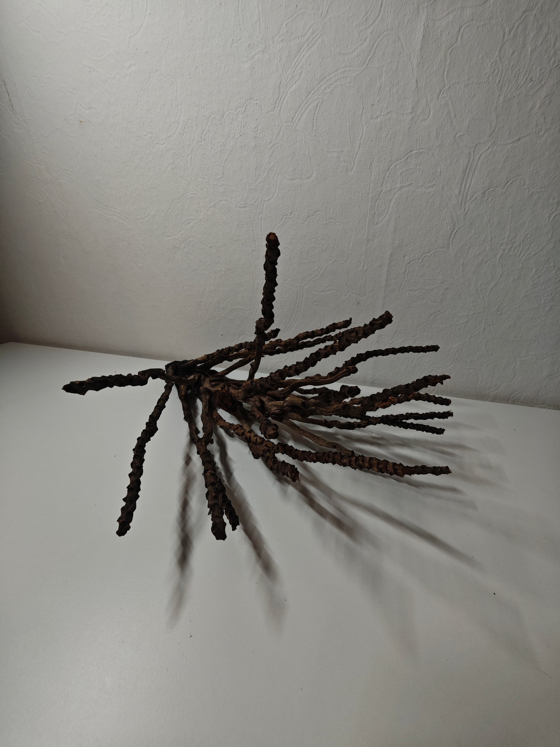 Kokosrispen Naturdeko 30-50cm