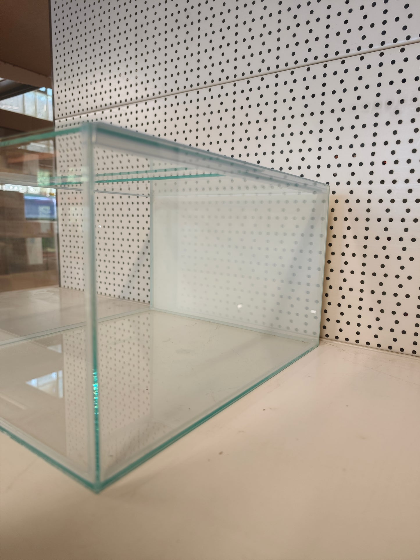 Aquarium 33x38x22 für Kallax Regal, weiße Rückwand