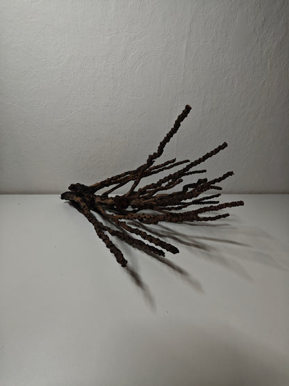 Kokosrispen Naturdeko 30-50cm