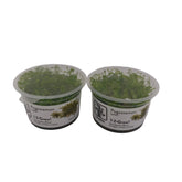 Tropica Pogostemon helferi In-Vitro Doppelpack