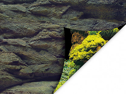Aquanova poster back wall Rock / Plants 60x30cm