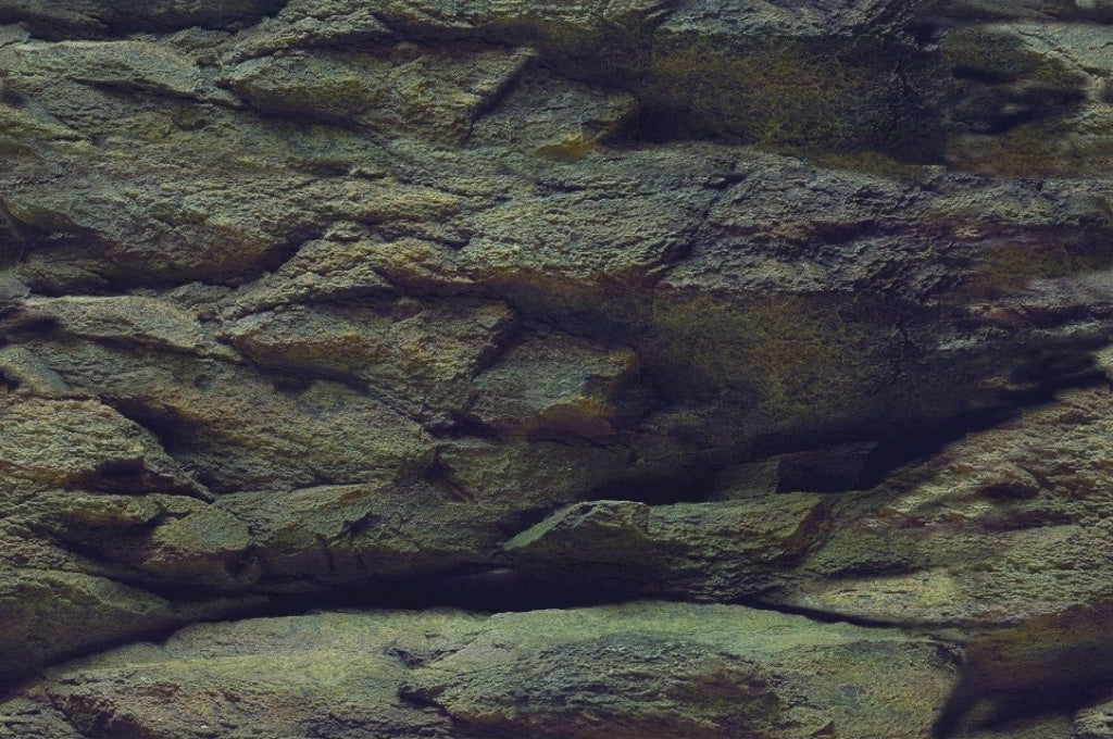Fond d'aquarium Aquanova Rock / Plants 60x30cm