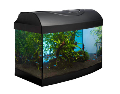 Diversa Aquarium Set Startup 40 "Panorama" -25 Liter, 40x25x25cm
