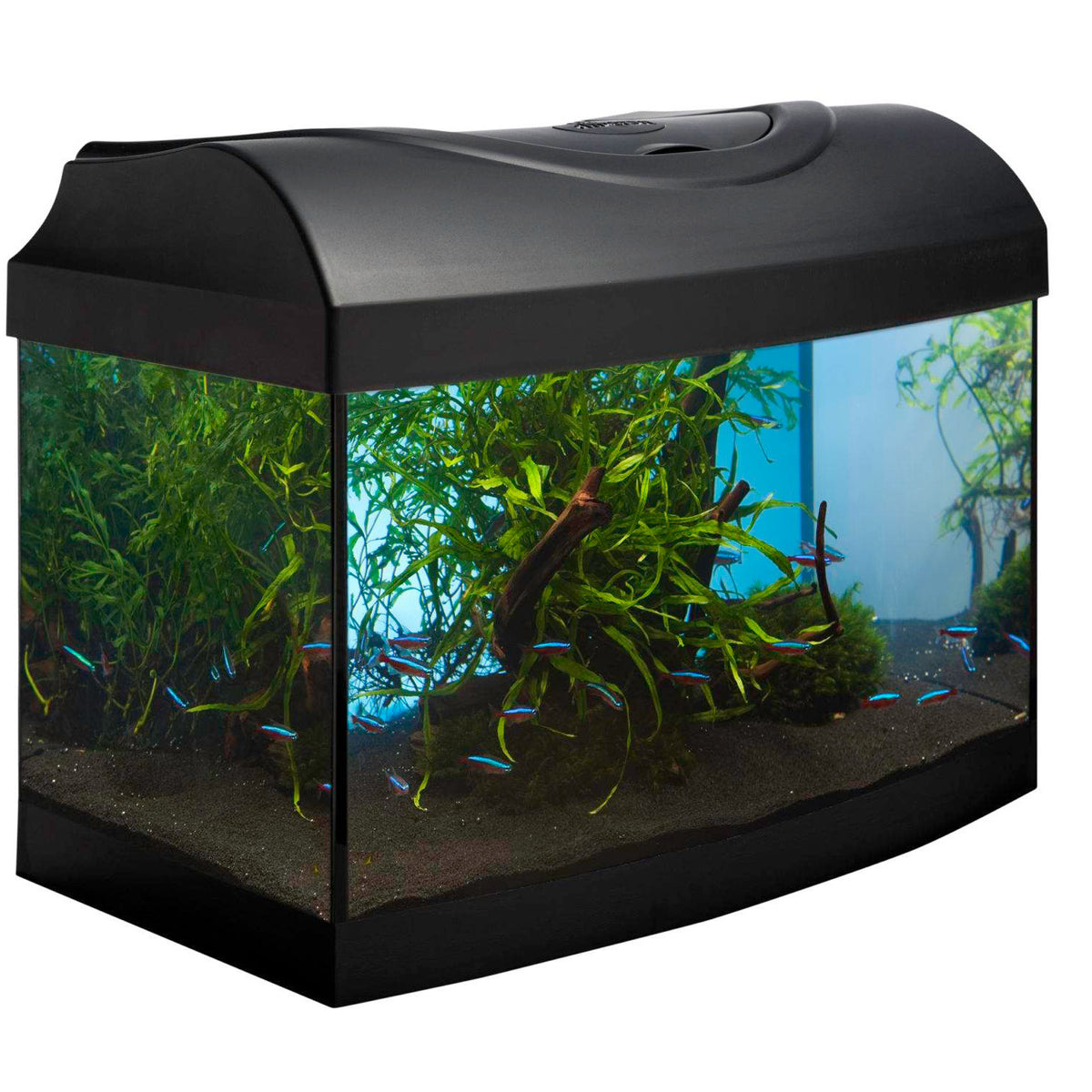 Diversa Aquarium Set Startup 40 "Panorama" -25 litres, 40x25x25cm
