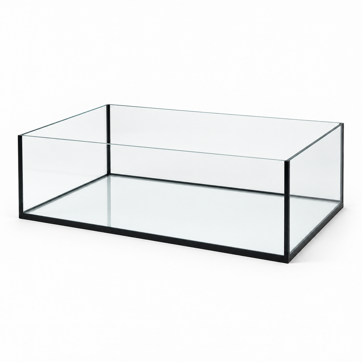 Terra-Natur Aquarium 100 × 50 × 30 cm, 150 Liter, mit schwarzen Silikonnähten