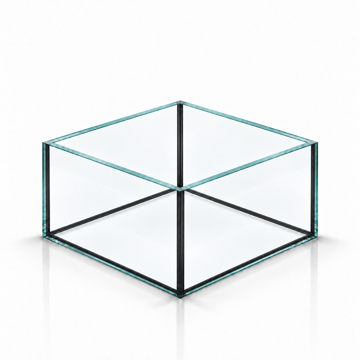 Terra-Natur Aquarium 20 × 20 × 12 cm, 4,8 Liter, schwarzes Silikon