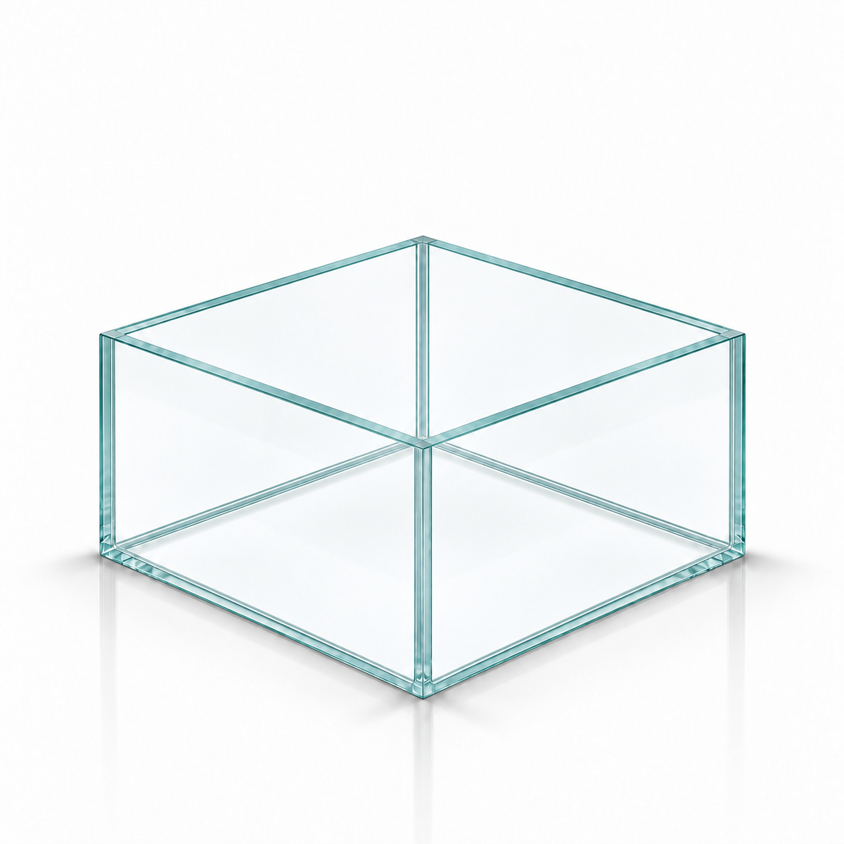 Terra-Natur Aquarium 20 × 20 × 12 cm, 4,8 Liter, transparentes Silikon