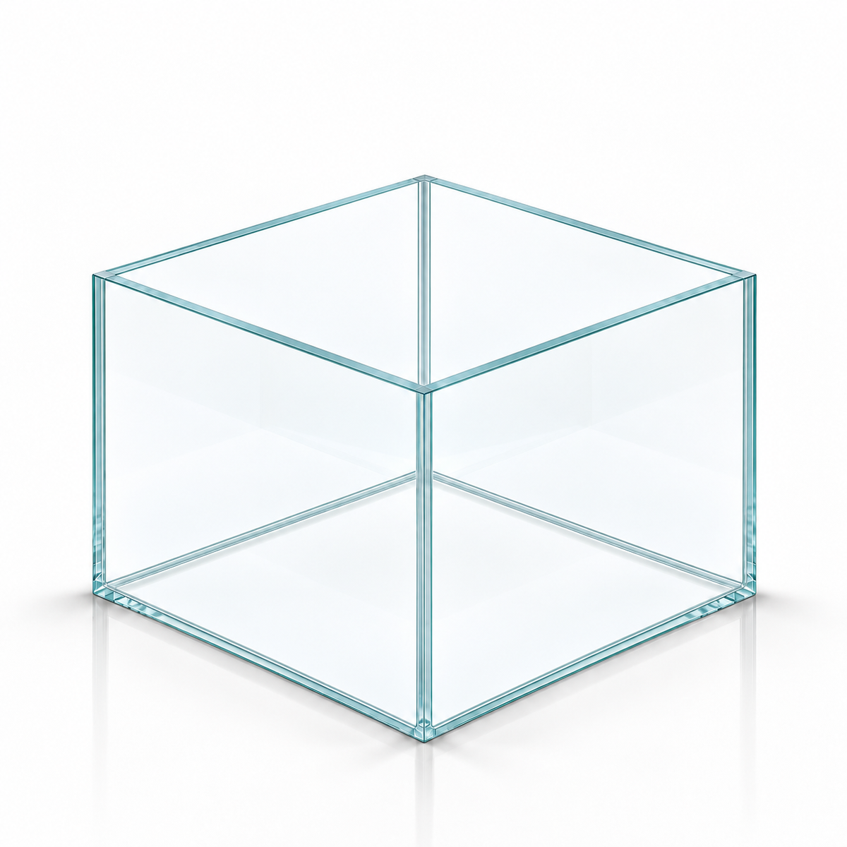 Terra-Natur Aquarium 25 × 25 × 20 cm, 12,5 Liter, Floatglas mit transparentem Silikon